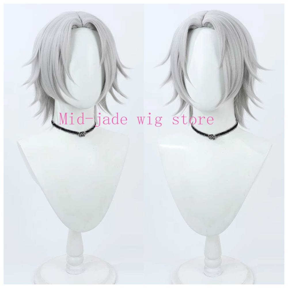 วิกผมคอสเพลย์ Hayato Gokudera  - Photography Japanese บทวิจารณ์และราคา